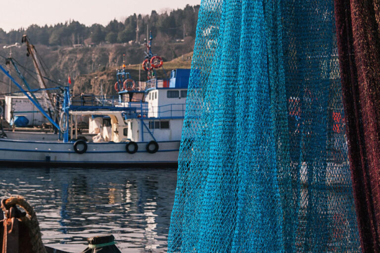Fishing Nets Suppliers in Tamil Nadu