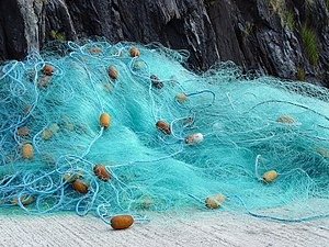 Premium Fishing Nets in Tamilnadu